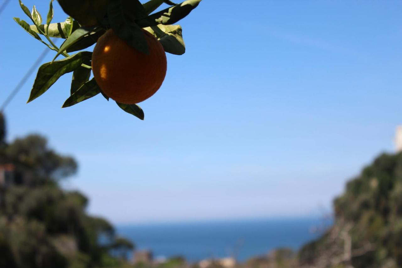 La Casetta Di Asia Vico Equense Bagian luar foto